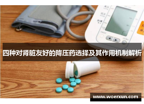 四种对肾脏友好的降压药选择及其作用机制解析 四种对肾脏友好的降压药选择及其作用机制解析