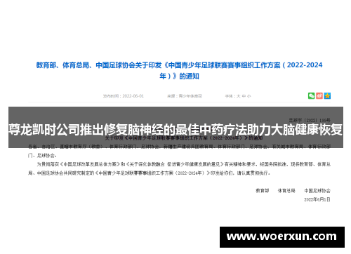 尊龙凯时公司推出修复脑神经的最佳中药疗法助力大脑健康恢复 尊龙凯时公司推出修复脑神经的最佳中药疗法助力大脑健康恢复