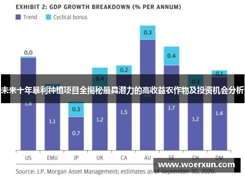 未来十年暴利种植项目全揭秘最具潜力的高收益农作物及投资机会分析 未来十年暴利种植项目全揭秘最具潜力的高收益农作物及投资机会分析