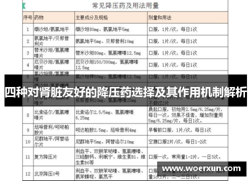 四种对肾脏友好的降压药选择及其作用机制解析 四种对肾脏友好的降压药选择及其作用机制解析