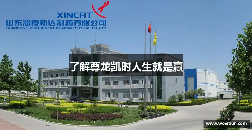 了解尊龙凯时人生就是赢 了解尊龙凯时人生就是赢